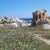 scorcio isola lavezzi_800x532